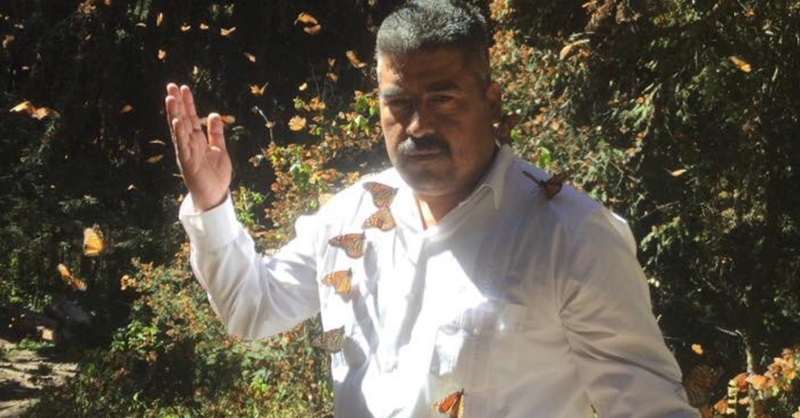 Homero Gómez: The Tragic Discovery of the Missing Mexican Butterfly Activist 3